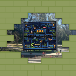 “Game on Gator: Marsh Maze”