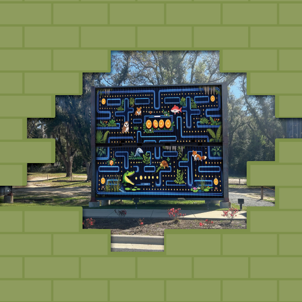 “Game on Gator: Marsh Maze”