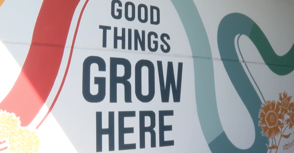 “Good Things Grow Here”: Local artists lead creative comeback after crosswalk art controversy
